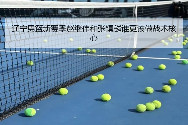 辽宁男篮新赛季赵继伟和张镇麟谁更该做战术核心